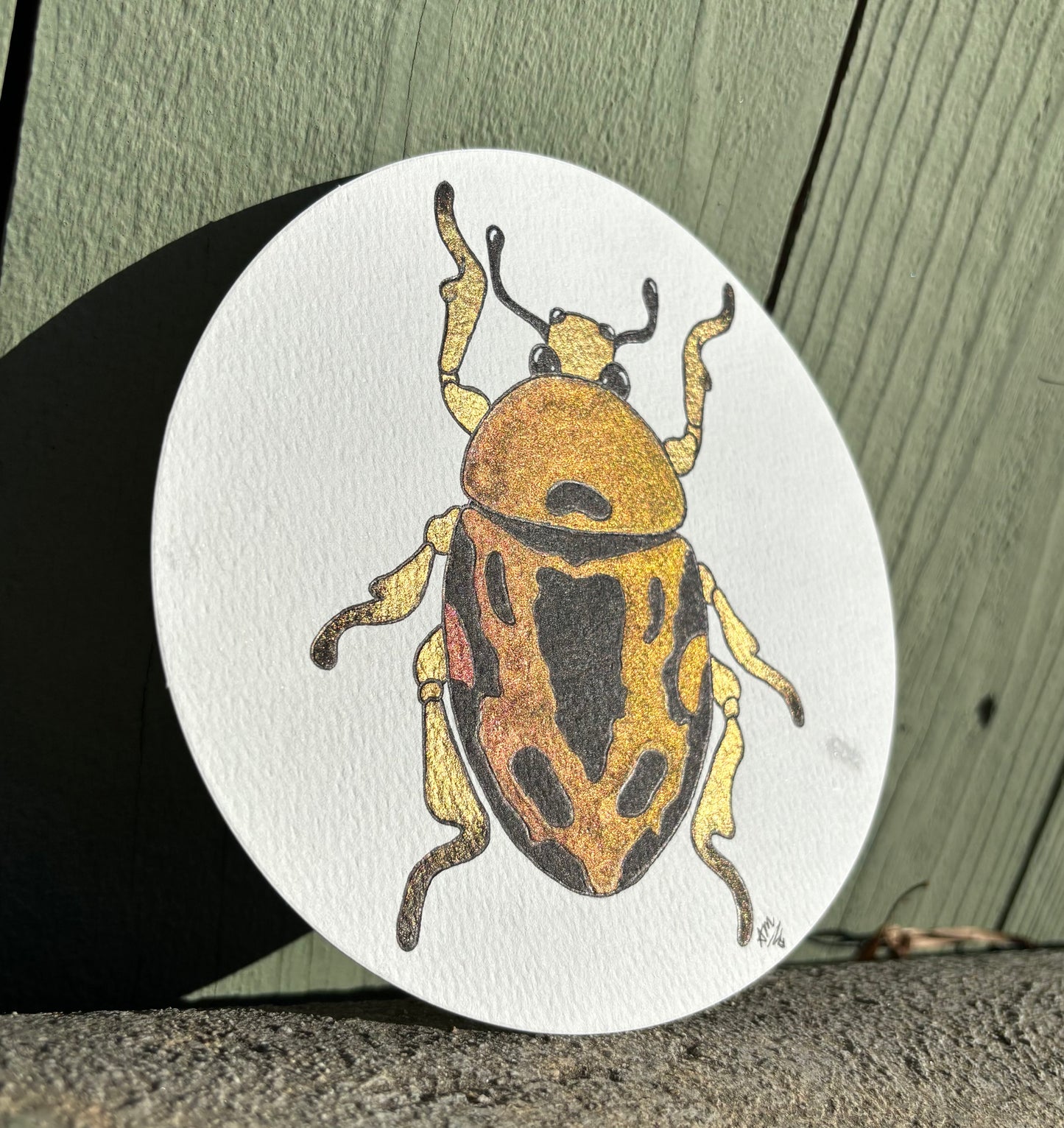 “Juicy Jewels” #004 Jewel Beetle watercolor painting