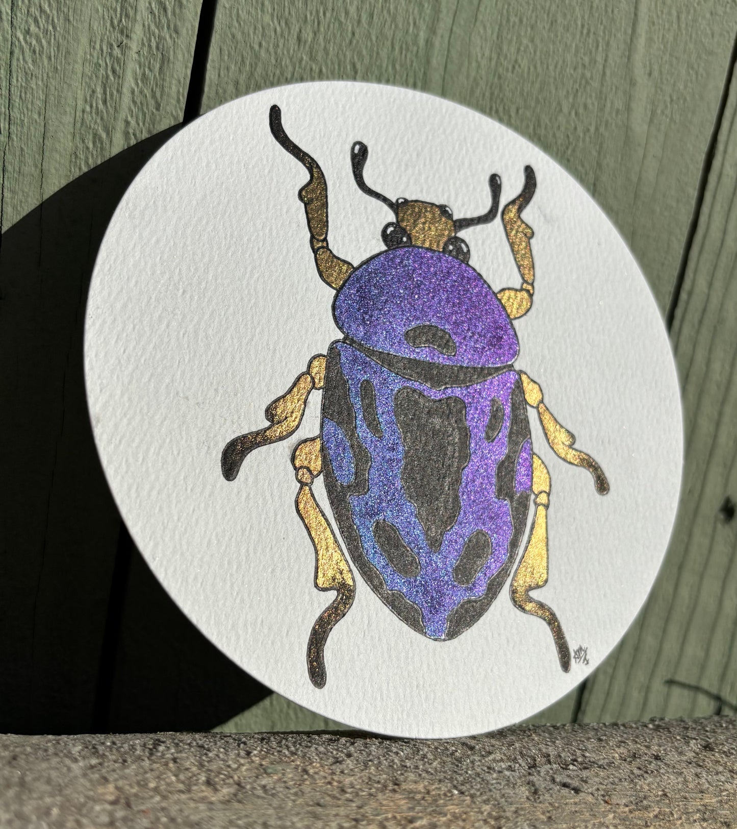 “Juicy Jewels” #001 Jewel Beetle watercolor painting