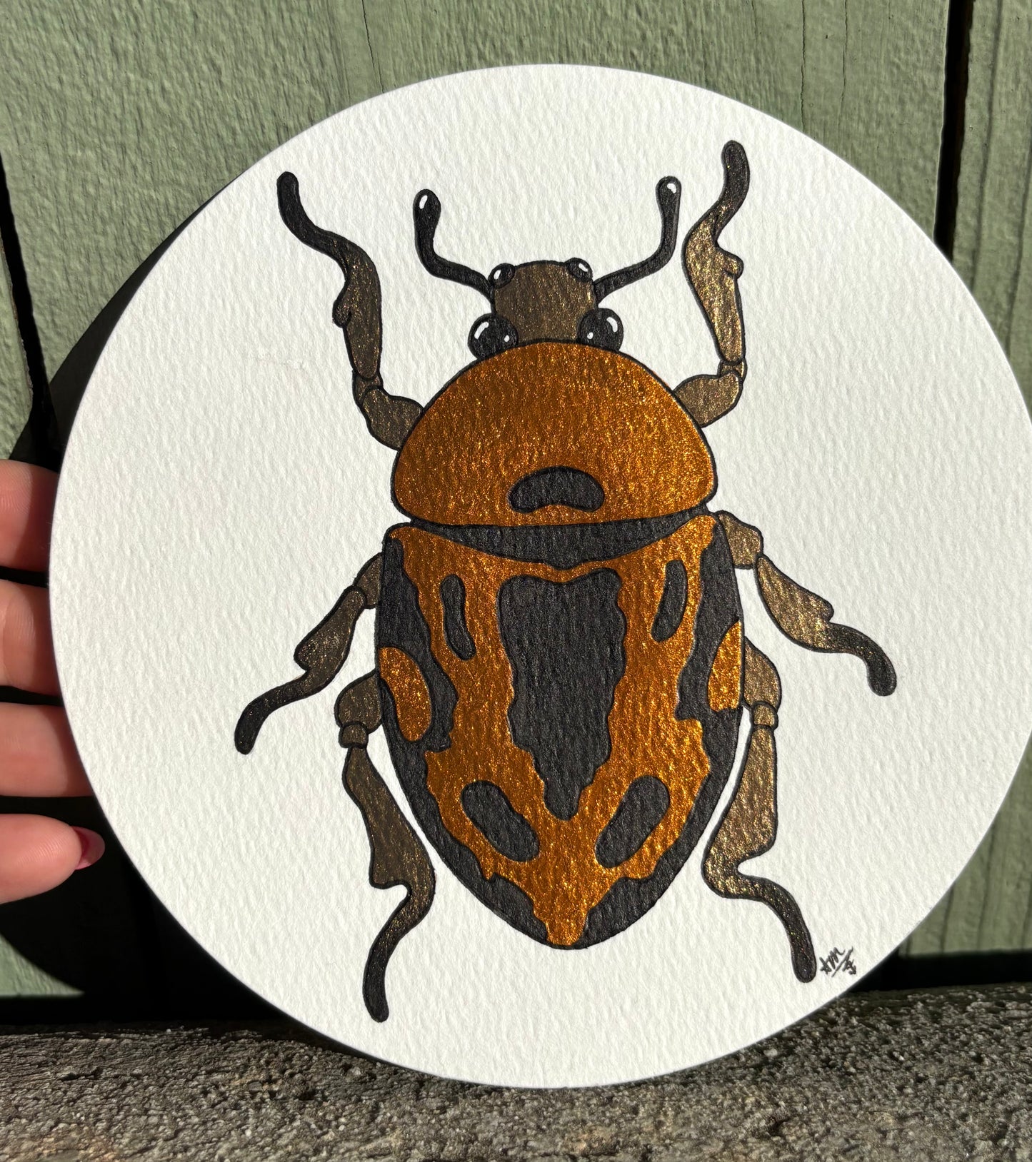 “Juicy Jewels” #006 Jewel Beetle watercolor painting