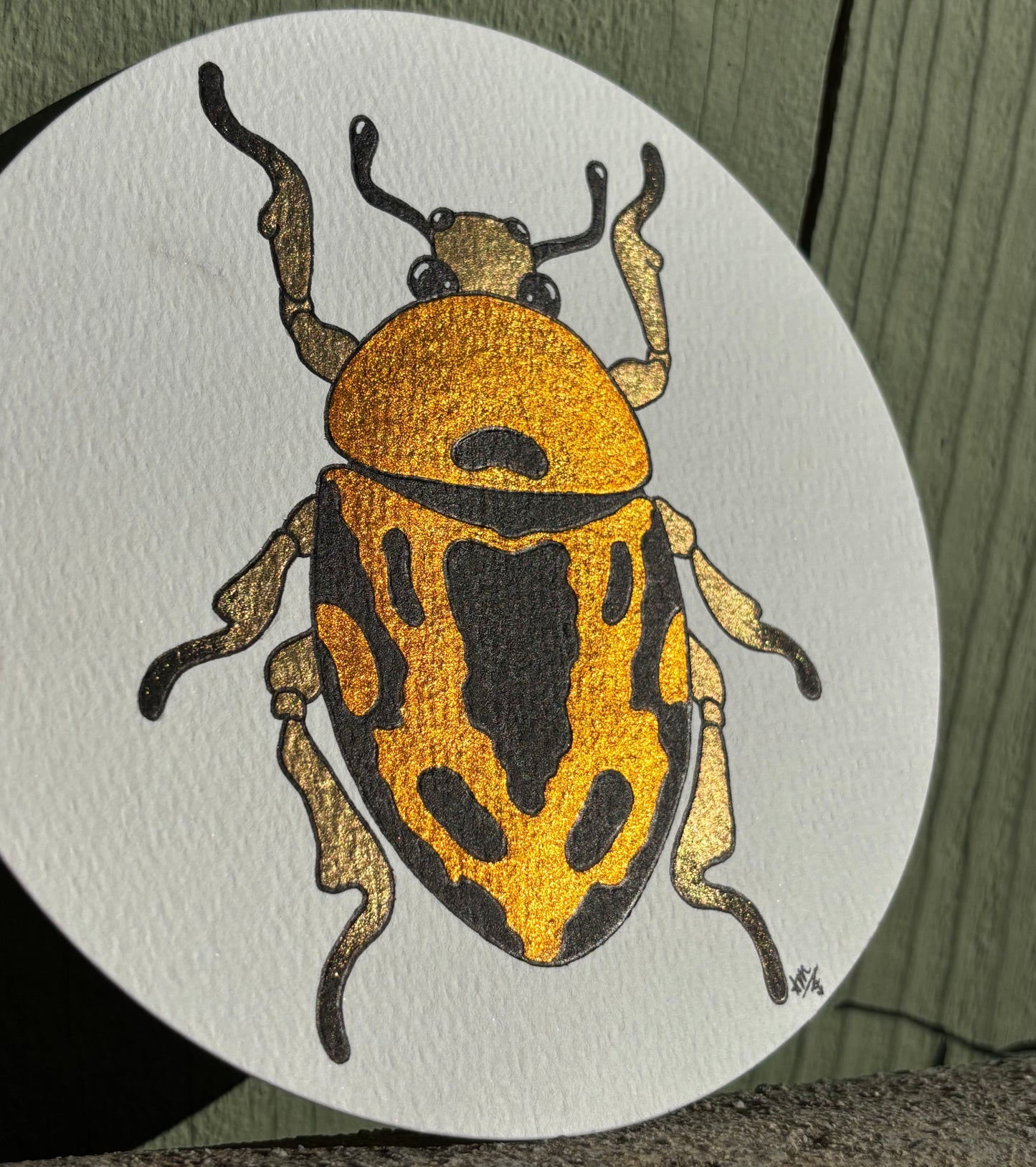 “Juicy Jewels” #006 Jewel Beetle watercolor painting