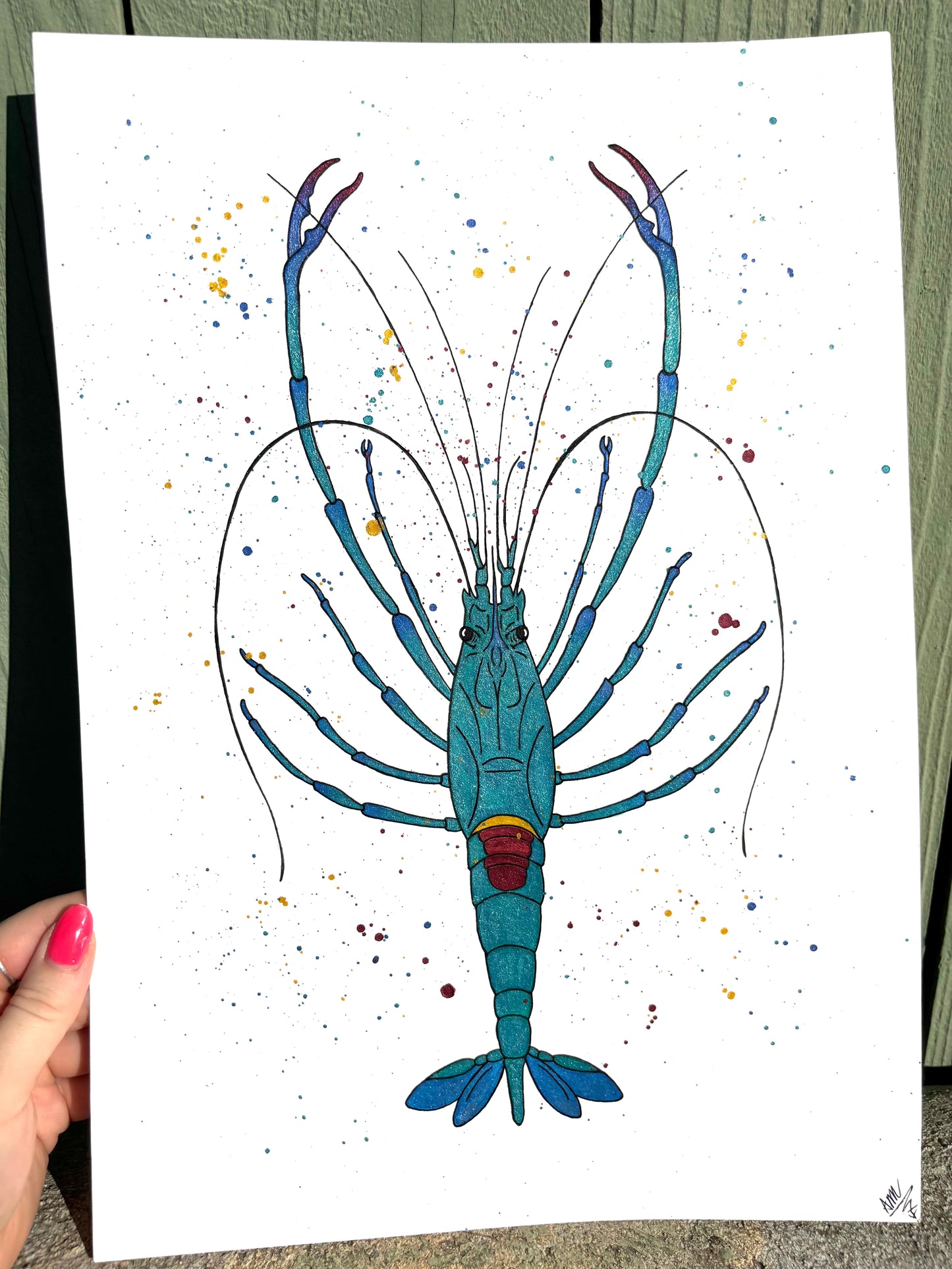 “Gubba” watercolor shrimp painting