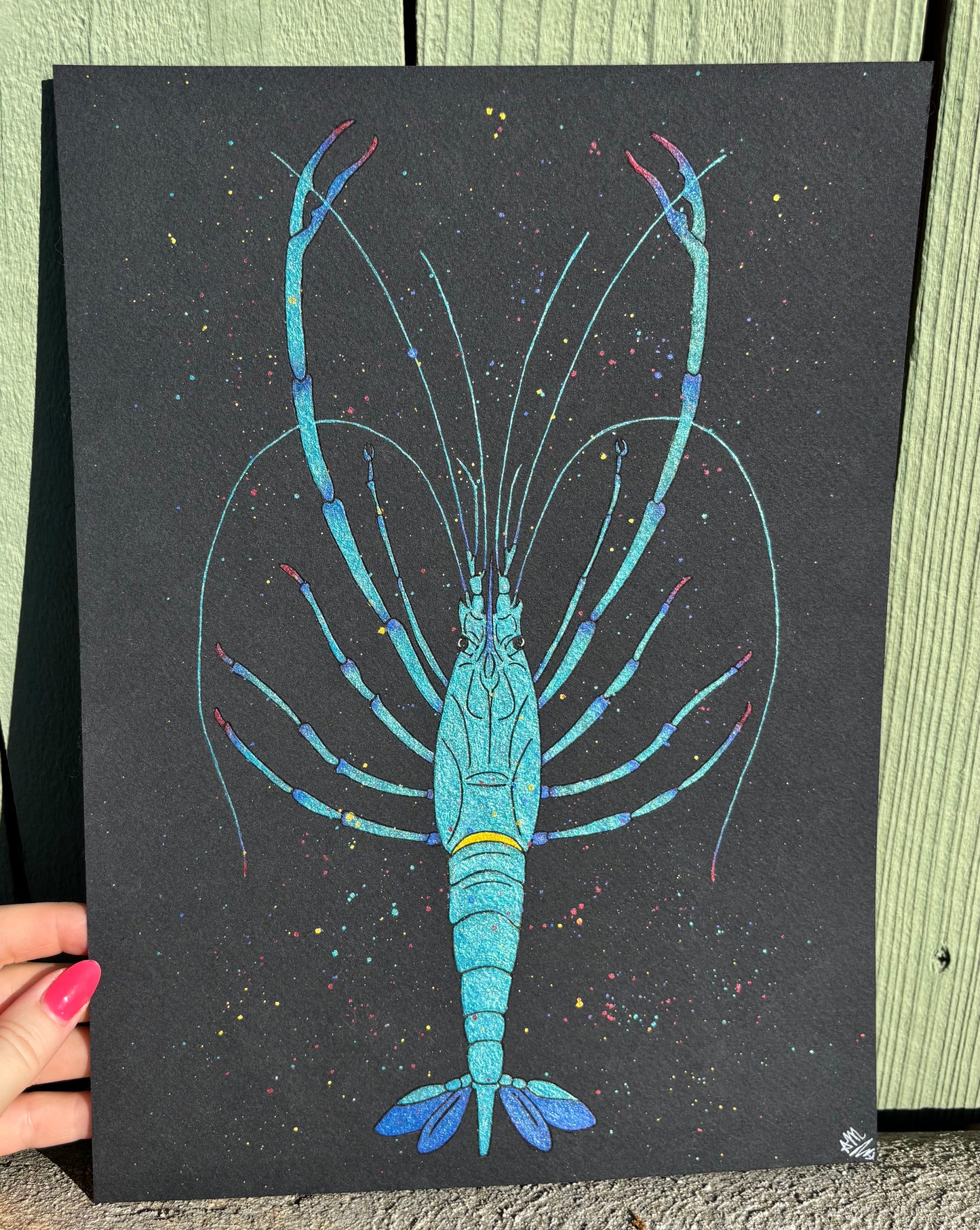 “Bump” watercolor shrimp painting