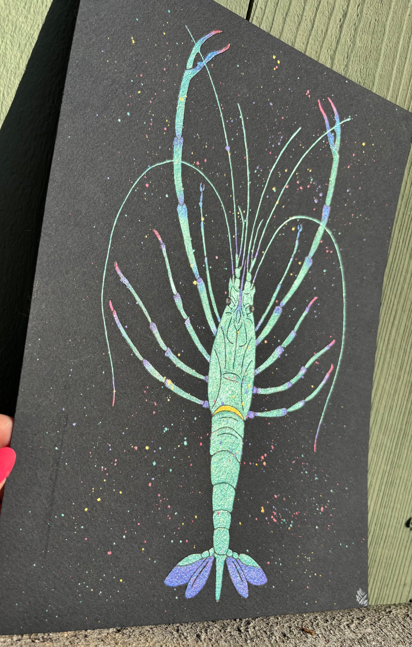 “Bump” watercolor shrimp painting
