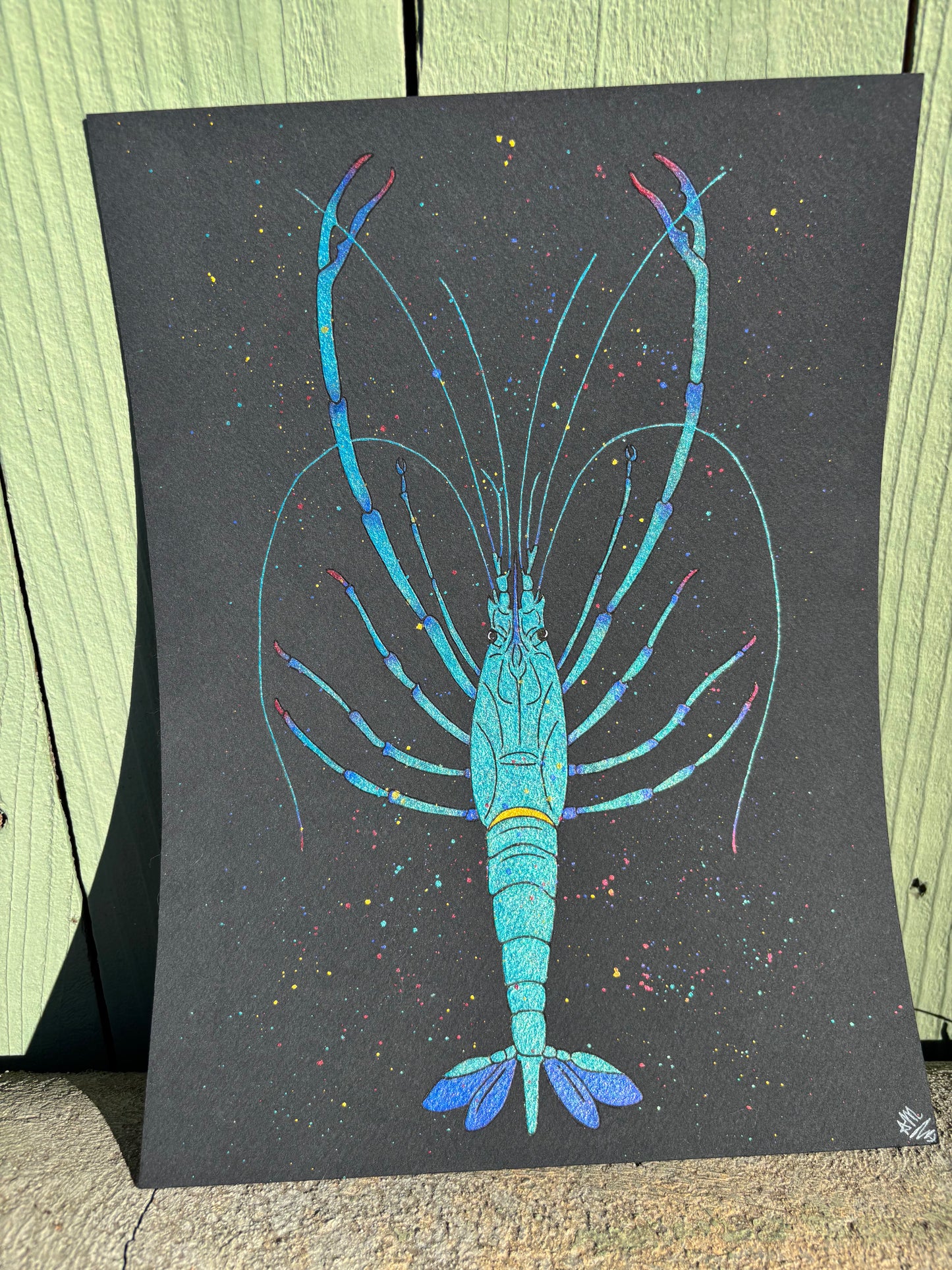 “Bump” watercolor shrimp painting