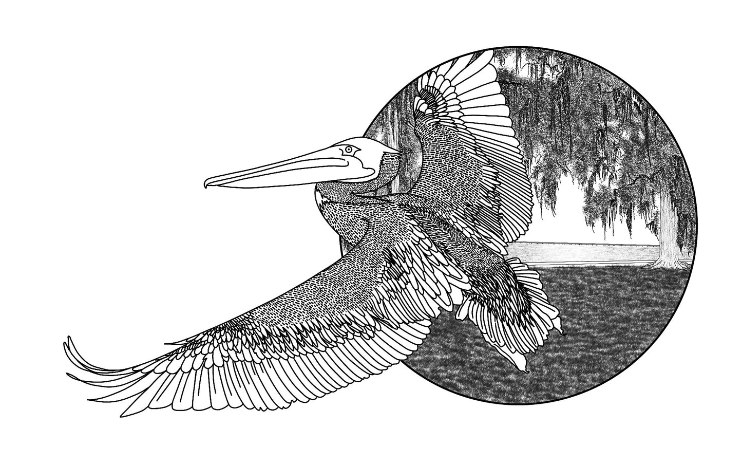 Pelican in New Orleans Glossy Transparent or Solid Waterproof Sticker