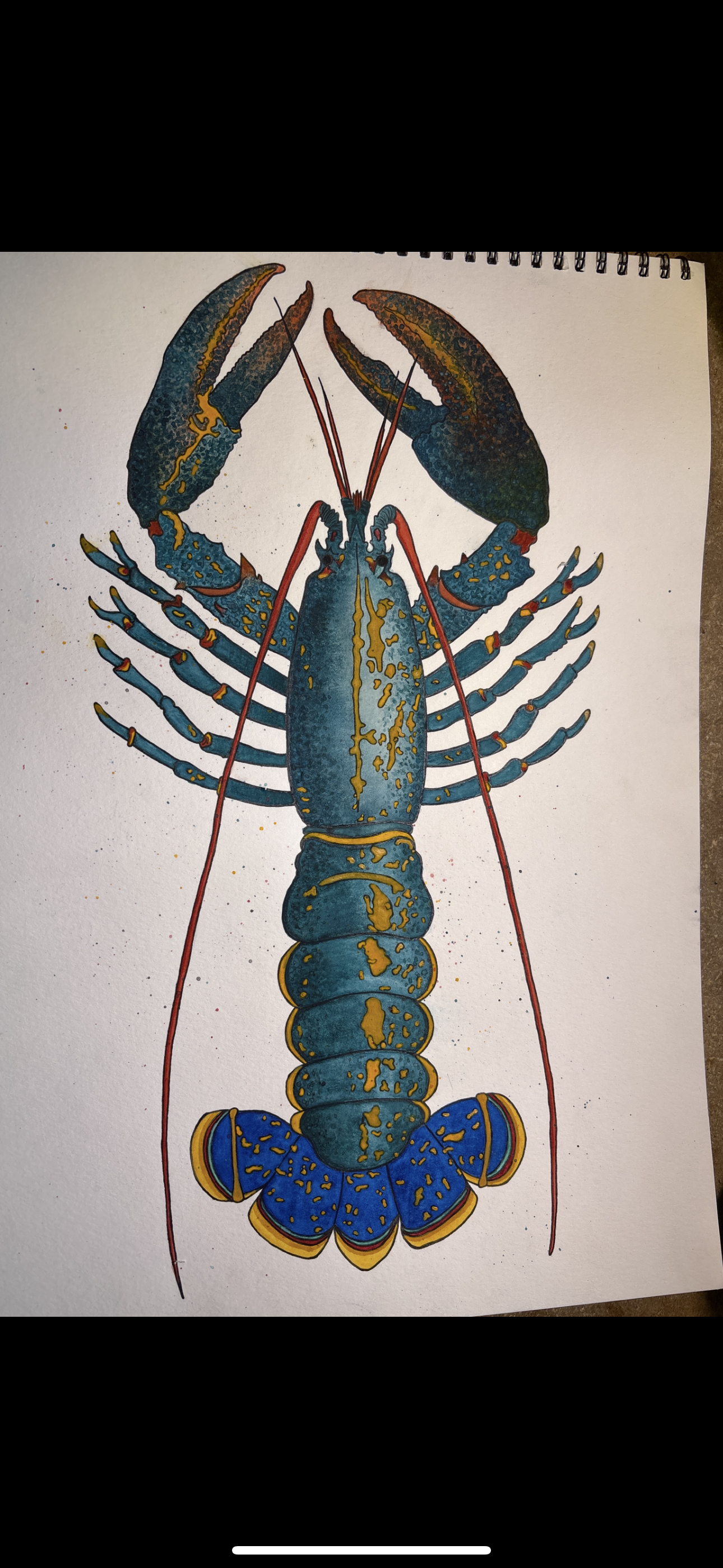 “A NOLA Blue” lobster watercolor painting (matte)