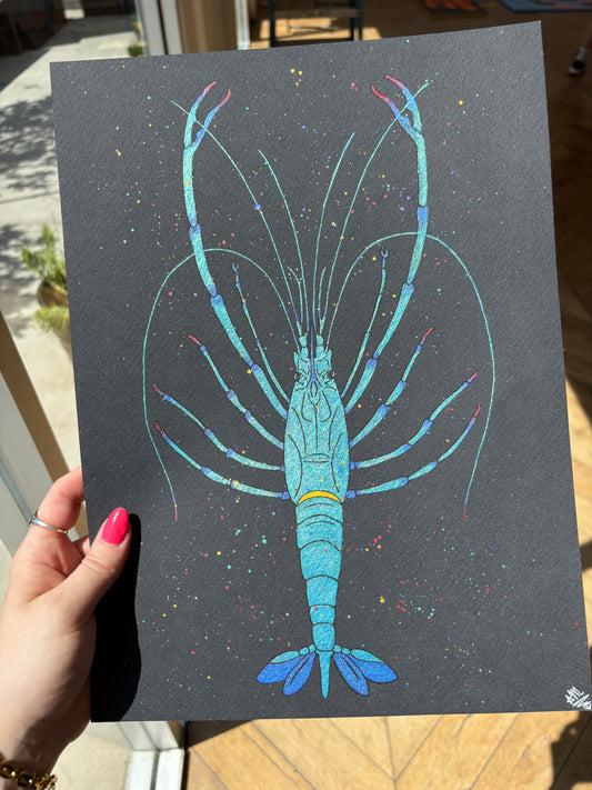“Bump” watercolor shrimp painting