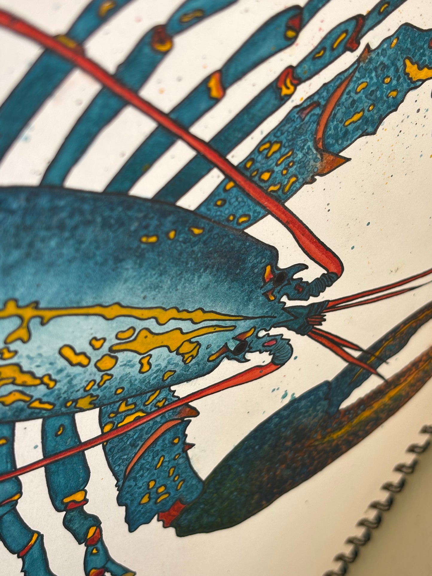 “A NOLA Blue” lobster watercolor painting (matte)