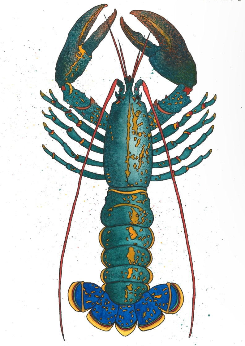 “A NOLA Blue” lobster watercolor painting (matte)